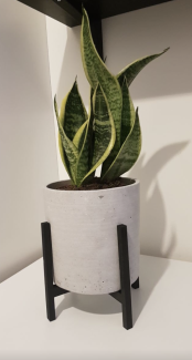 Plant stand